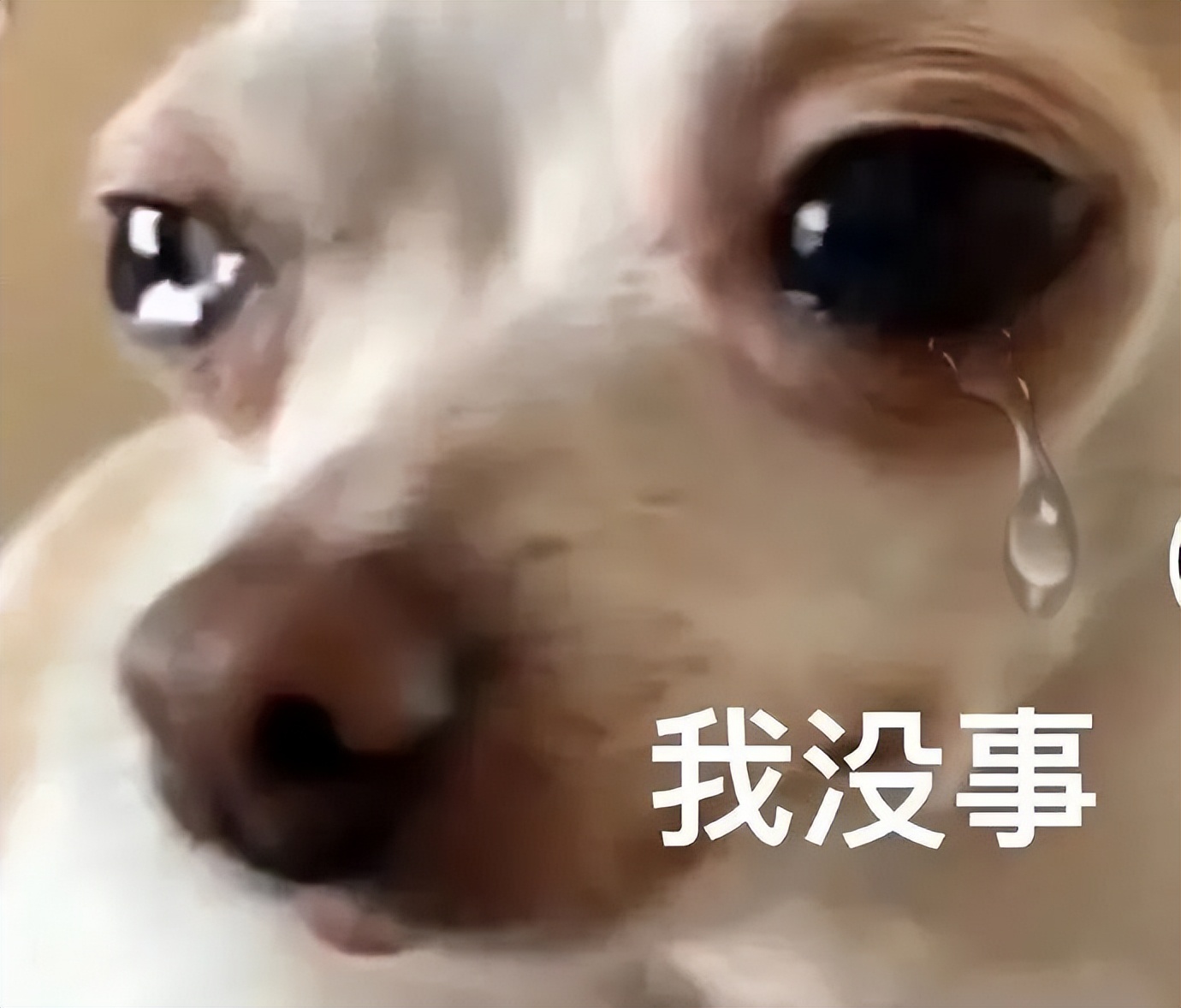 把老公的自拍照细节放大后，场面太刺激！哈哈哈哈