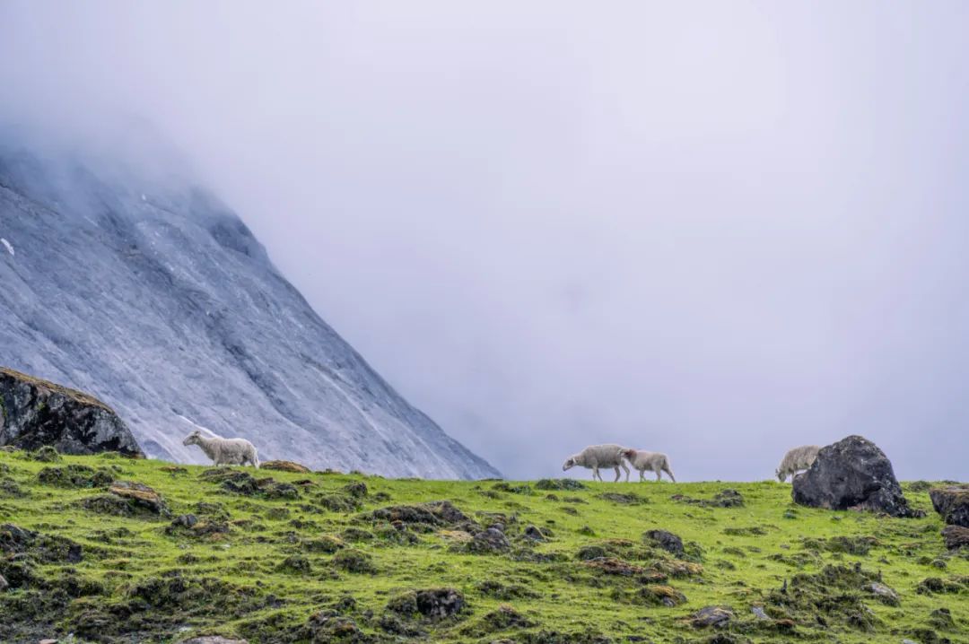 仅0.01%的人来过！这8条又美又虐又小众的极限风光，值得一去！