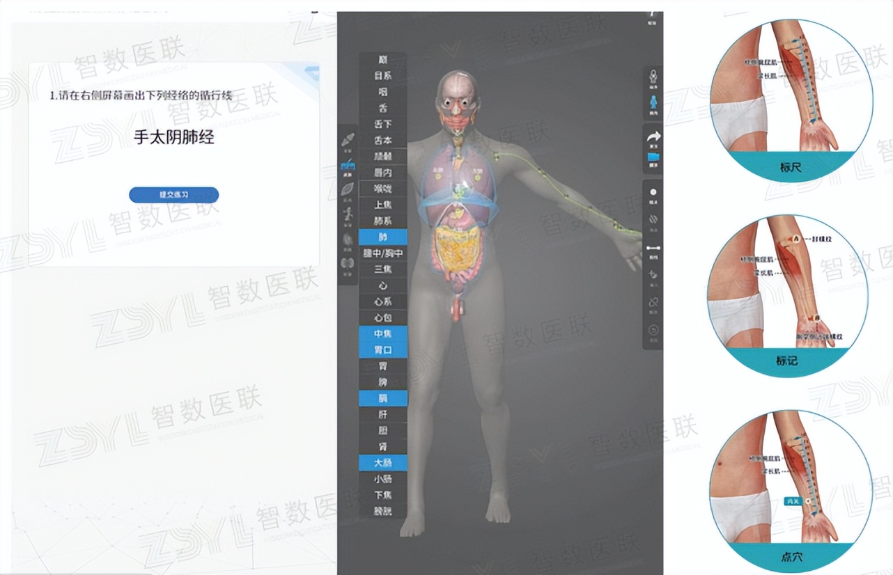 针灸学习培训机器人,针灸手法仿真测试系统