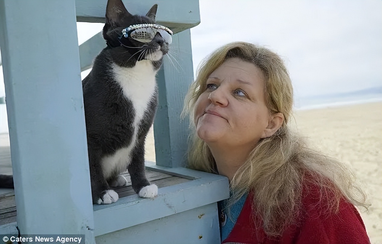 天生没眼睛的猫咪,天生没有眼睛的猫
