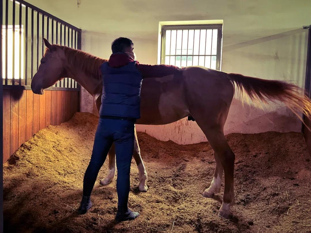 没有缺点的iphone13promax,iphone13promax与iphone13pro