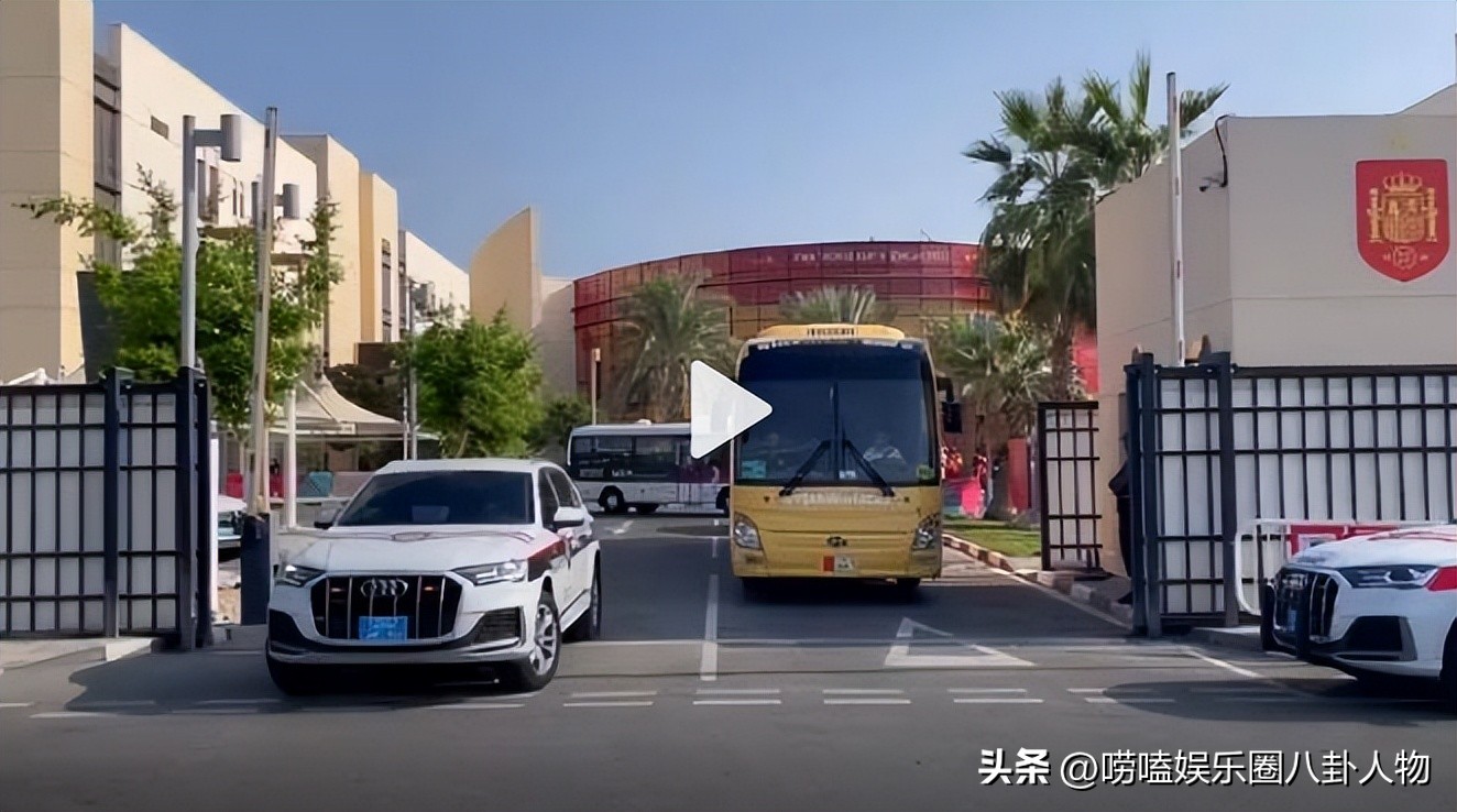 默克尔和普京看世界杯,罗赛夫和默克尔看世界杯