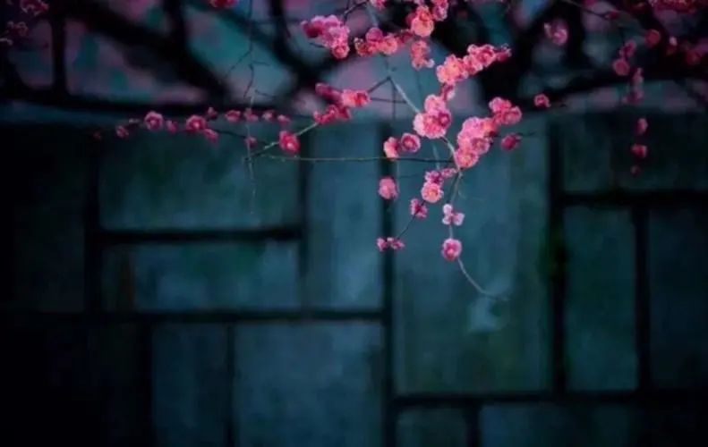 关于故乡的古诗十首,思念故乡的十首古诗