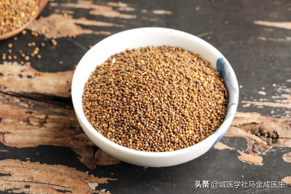 补肾气肾精固精药方,肾精亏虚一味药