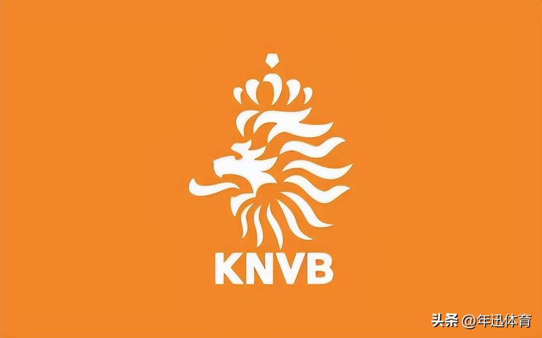 荷兰国家队郁金香军团,荷兰时隔8年重回大赛