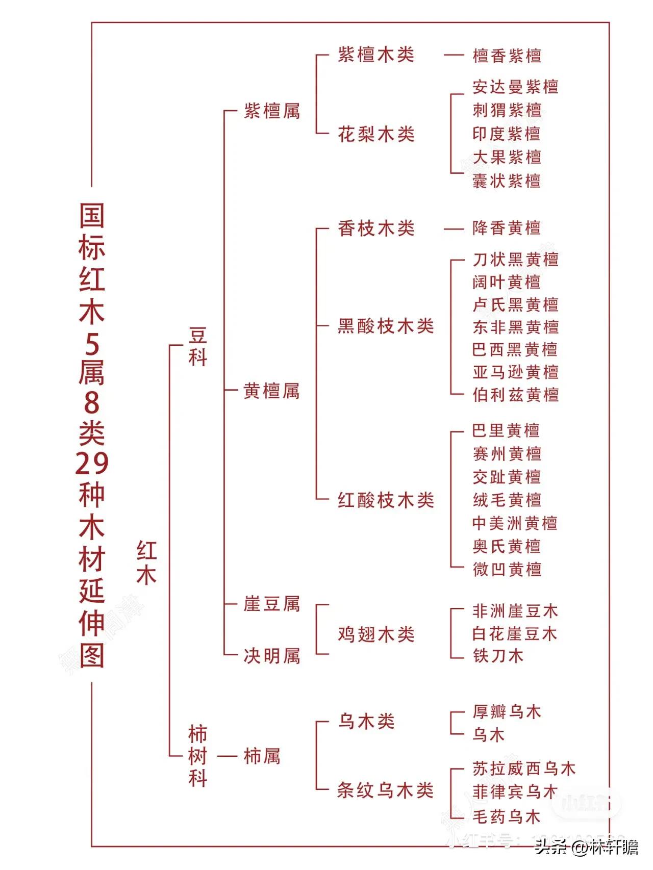 深圳人逛上海市区,深圳人去顺德生活