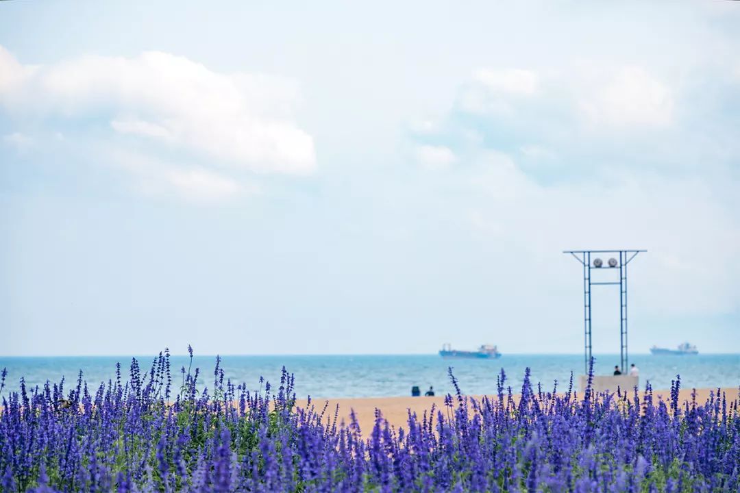 深圳小众胜地有哪些好玩的,深圳的特色风景