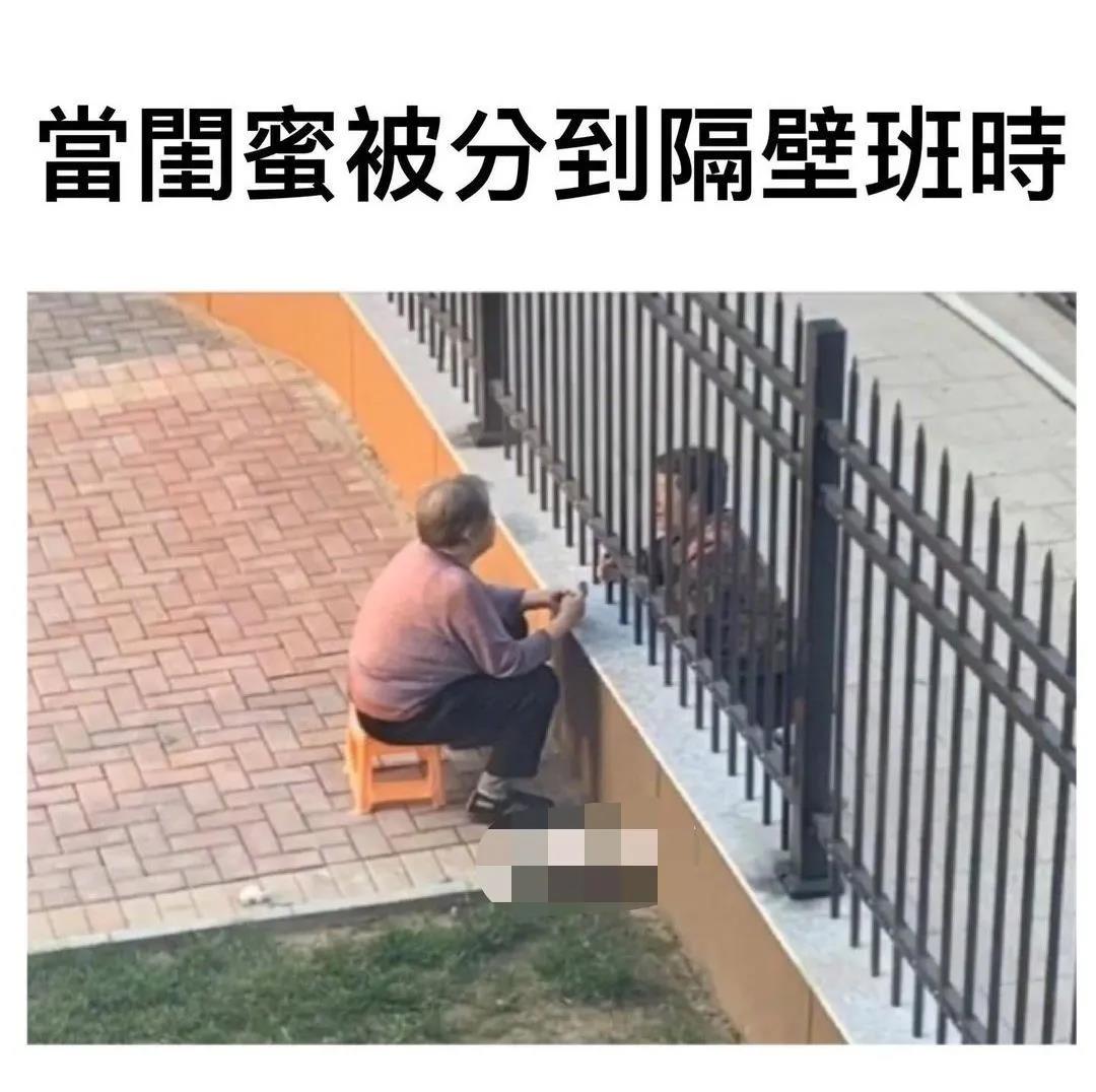 室友新买的蚊帐怎么感觉怪怪的,为什么刚买的蚊帐总感觉哪里不对