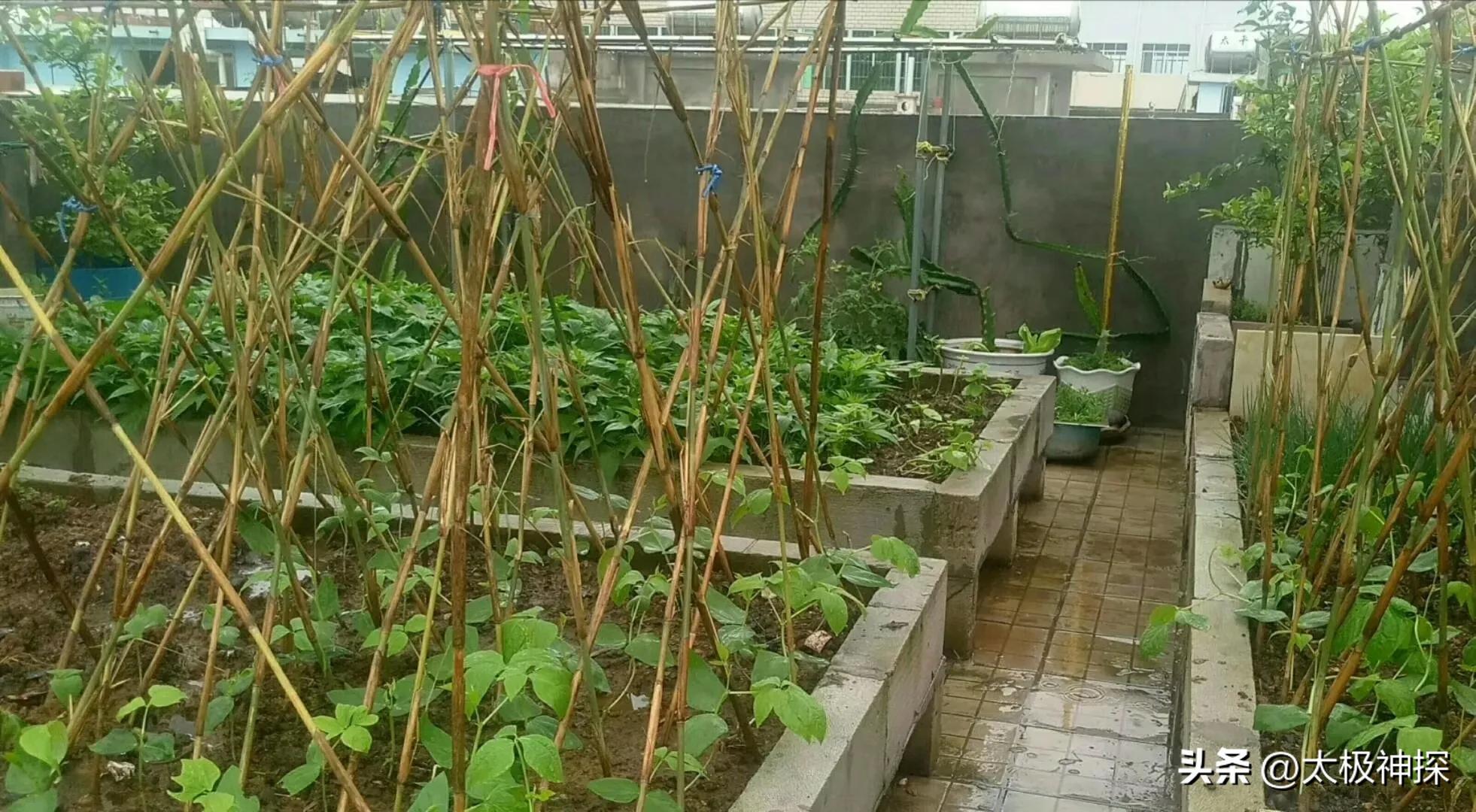 我理想的退休生活,退休后最理想的生活是什么