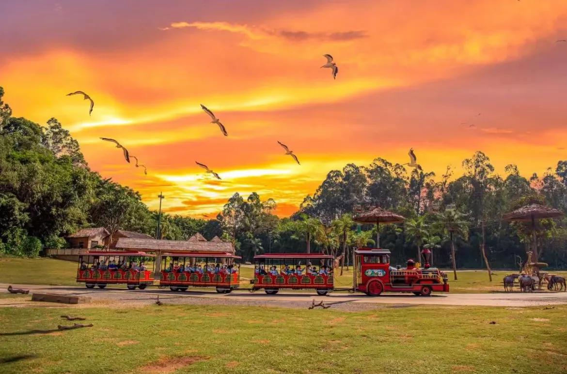 广州长隆和珠海长隆哪个值得去,广州长隆和珠海长隆的区别是什么