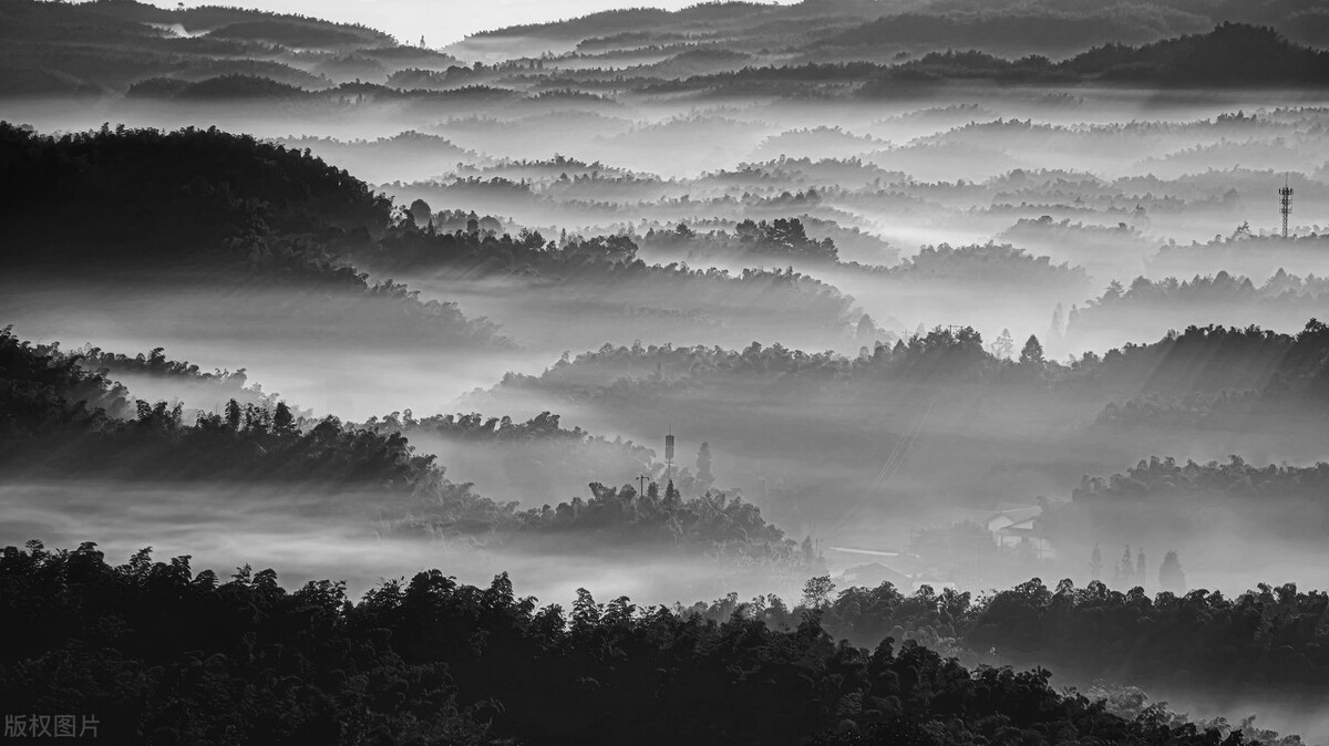 川南四绝的故事,蜀南四绝和川南四绝的区别