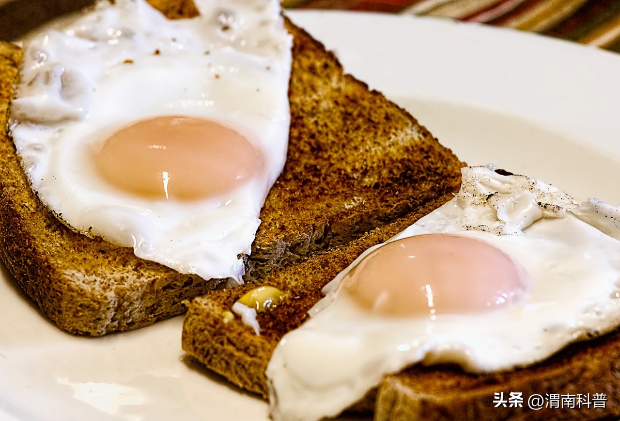 早饭剩了晚上能吃吗,早上剩的饭晚上吃可以吗