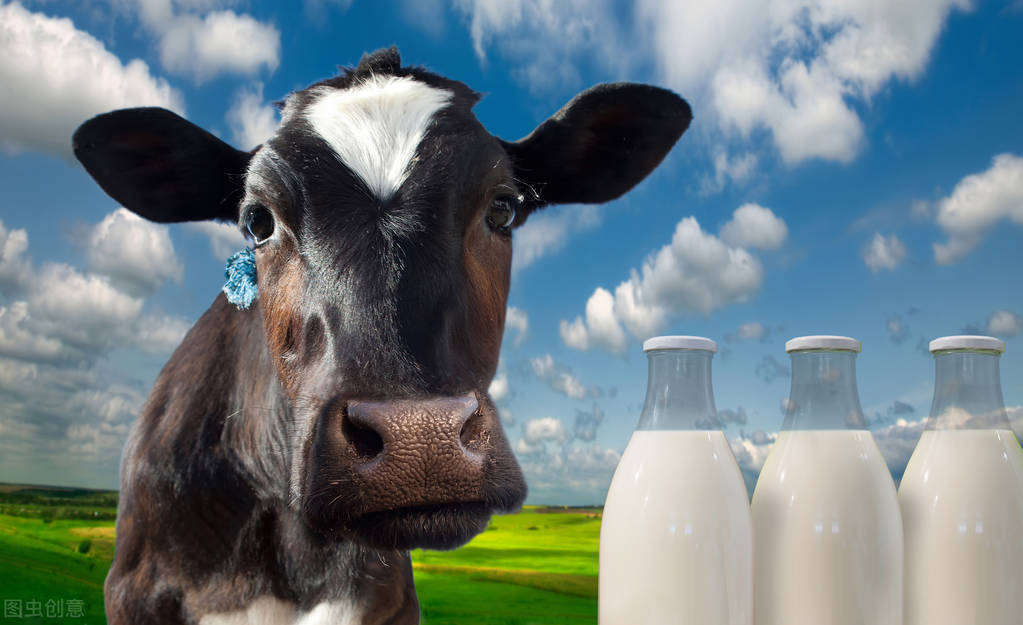 立即暂停使用雅培相关婴幼儿产品,海关关于雅培奶粉事件