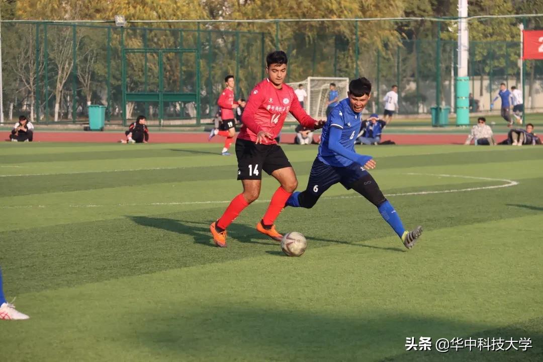 三连冠最新视频,三连冠创王朝