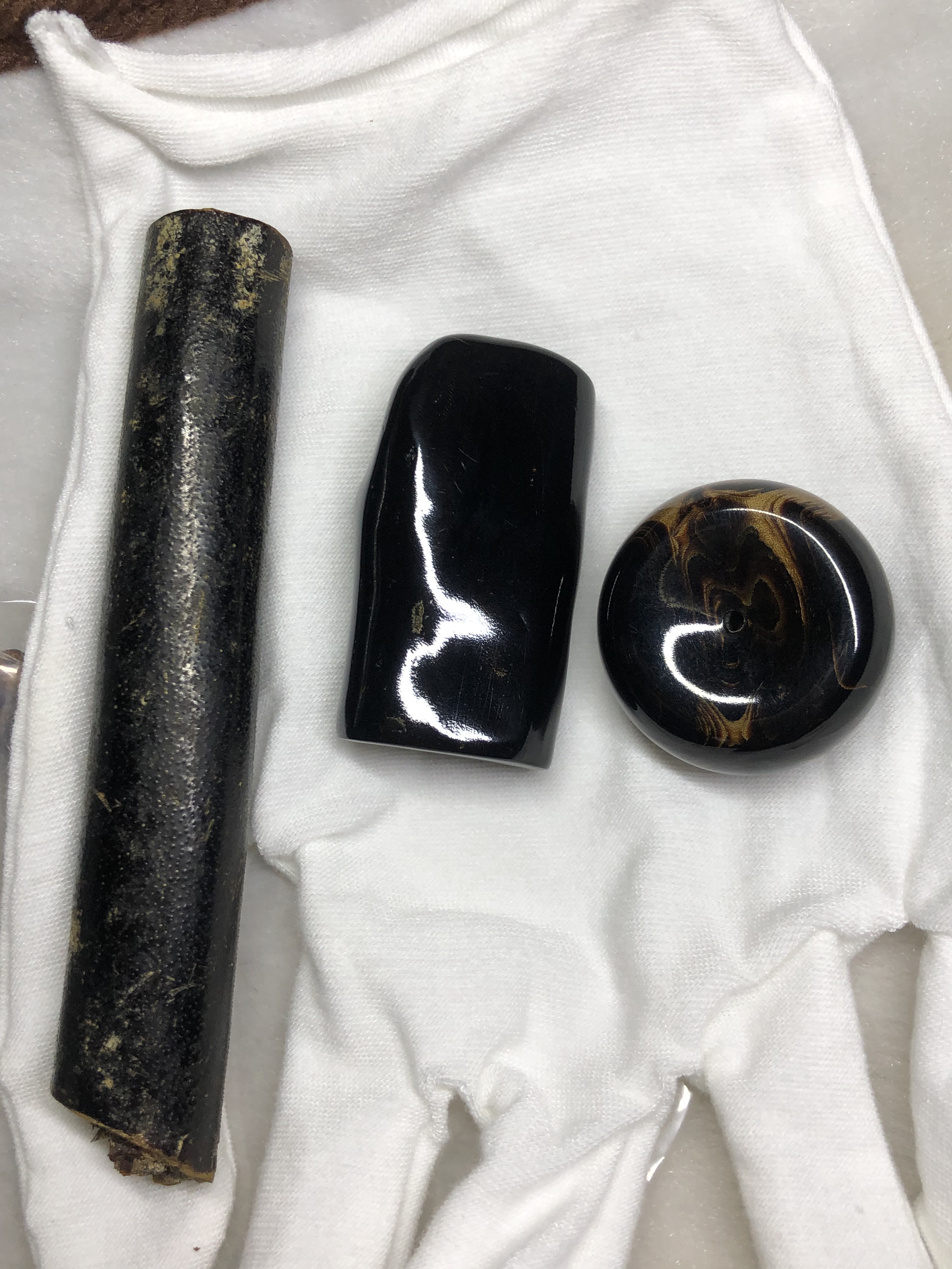 市面上主流的廉价海柳，你了解多少