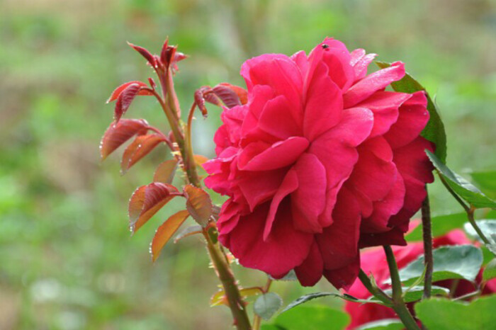 高深莫测善于驾驭人心的三大星座,抓住另一半软肋的星座