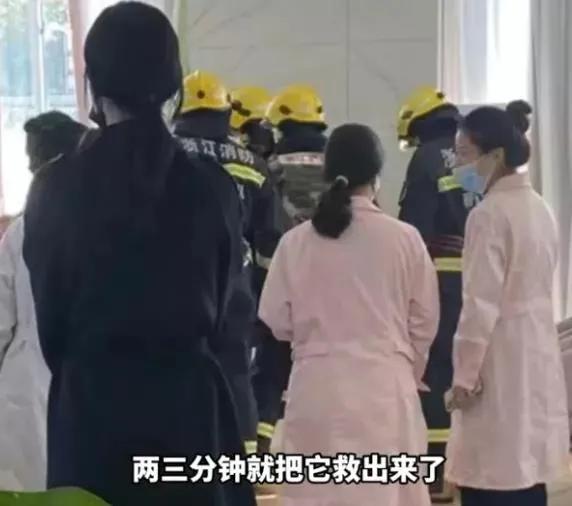 别人家的猫是液体还是固体,猫都是水做的