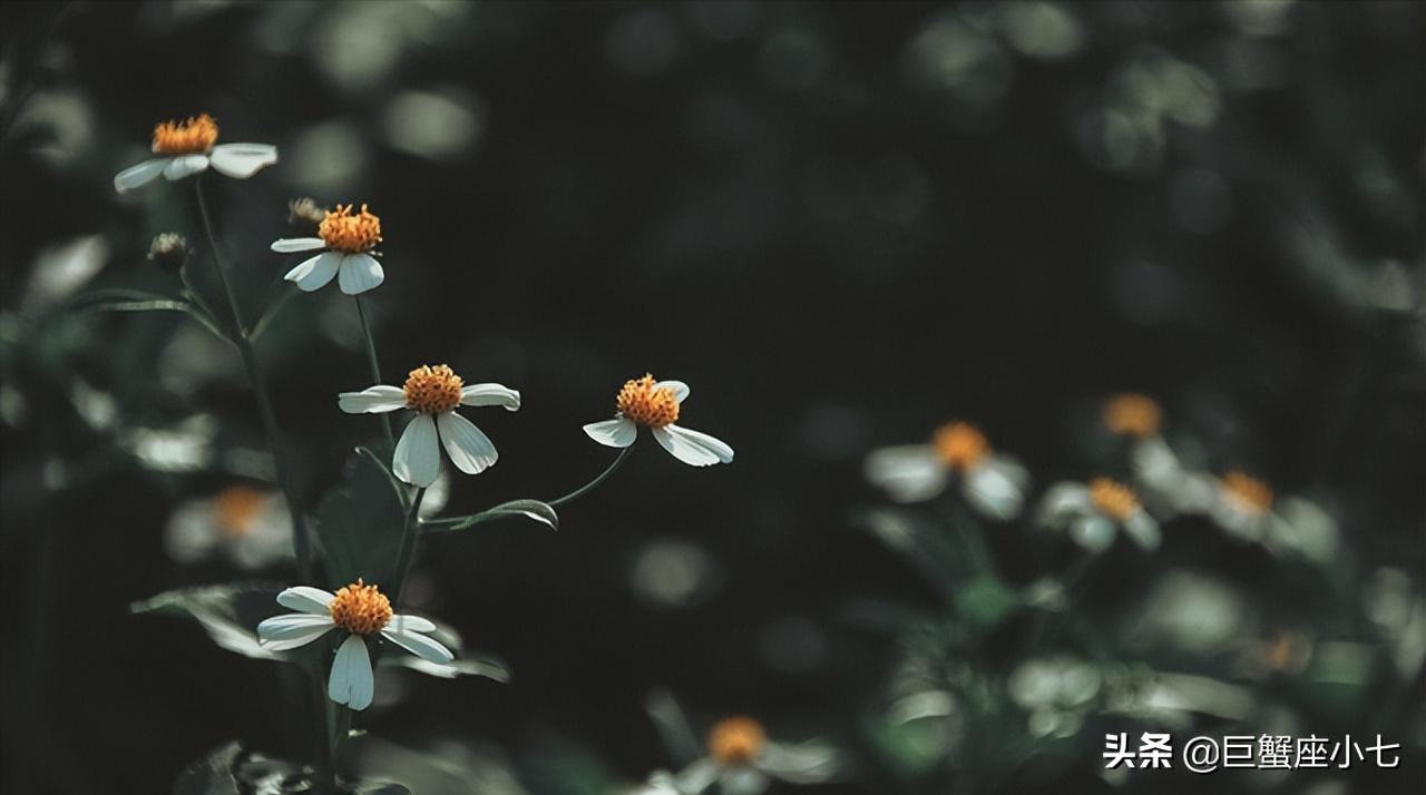 被动理智慢热的星座男,越爱你越忽冷忽热的星座男