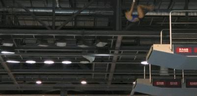 全红婵大满贯世锦赛,全红婵实现大满贯