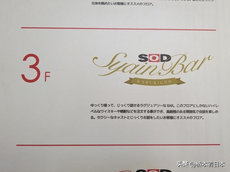 日本被强制关闭的游乐场,日本荒废主题公园