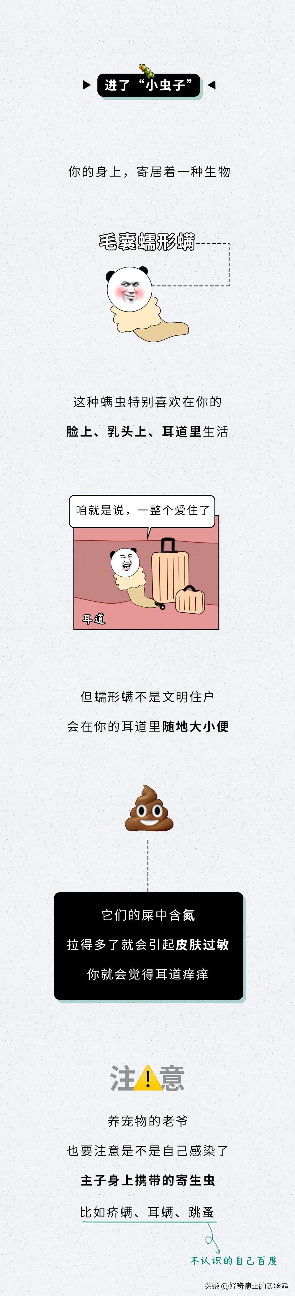 耳朵痒痒耳屎多怎么回事,耳朵里没有耳屎但是感觉堵住了