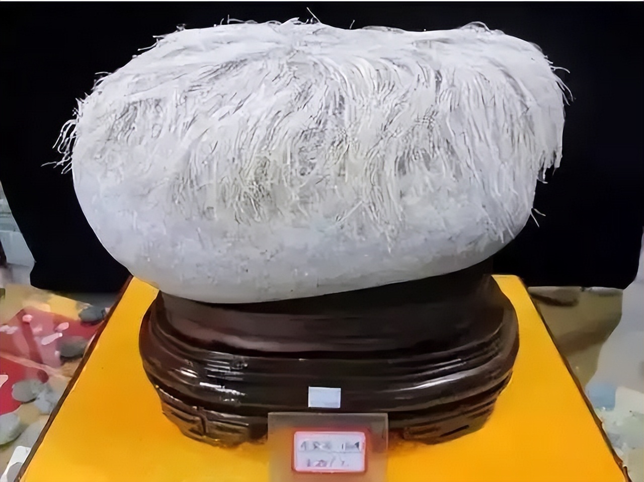 中国100种奇石图谱,中国10大奇石图片