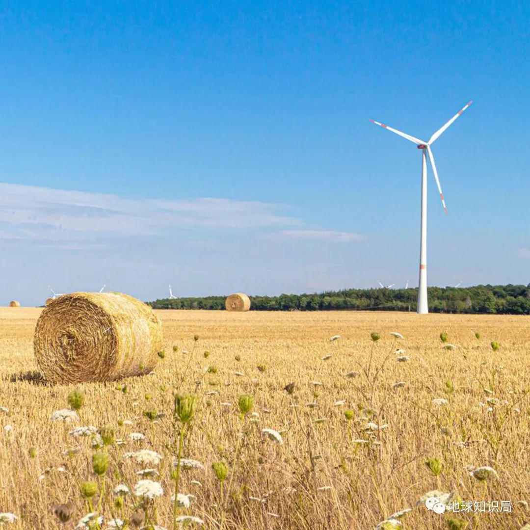 德国，再苦一苦自己|地球知识局