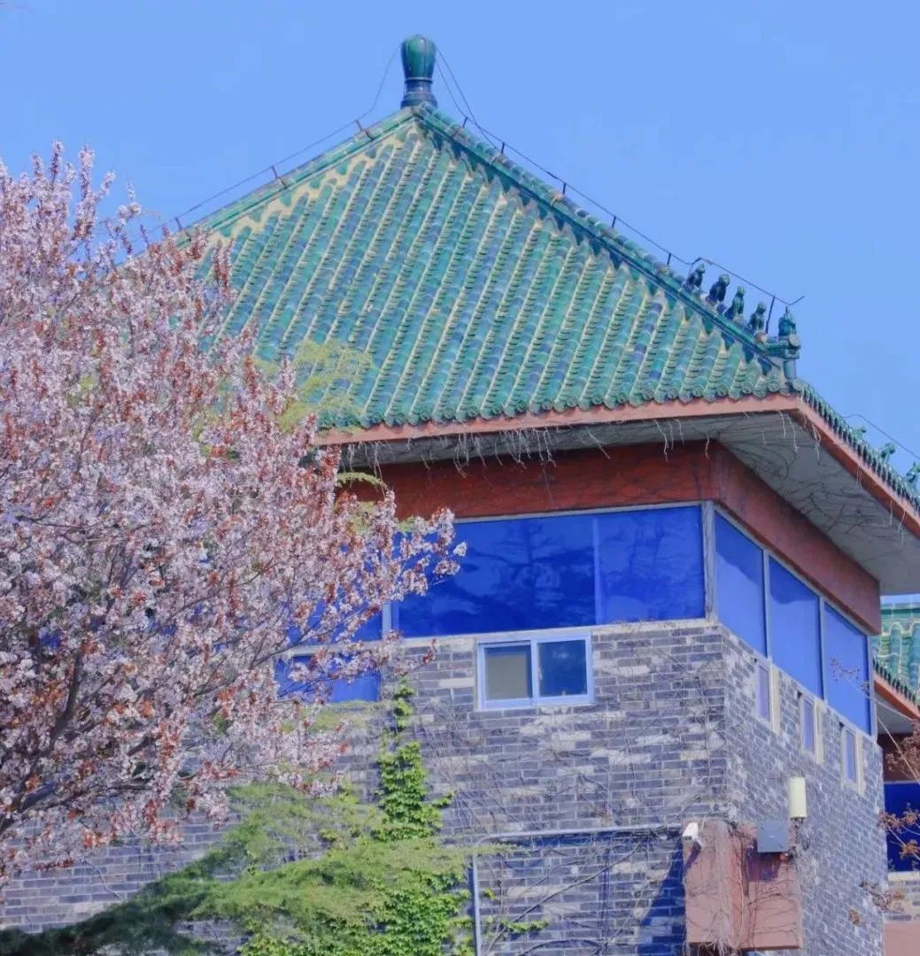 蓬莱拍照打卡地方室外,蓬莱沟网红打卡点