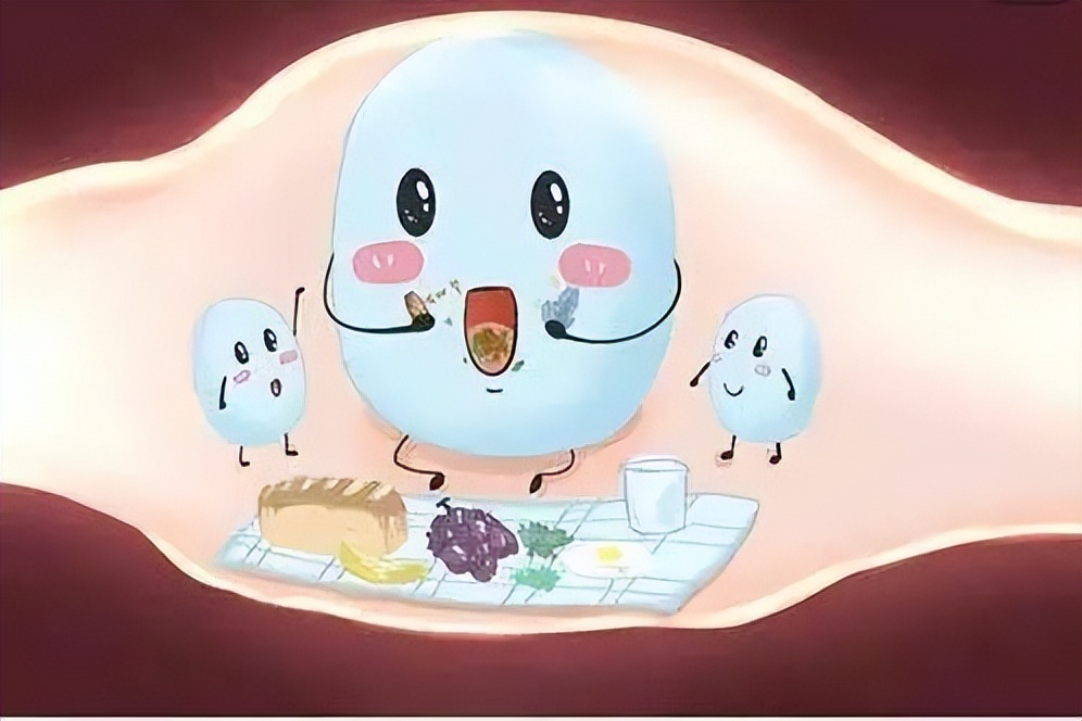 我们的肠道有多脏看完吓一跳,肠道有多脏胆小者勿入