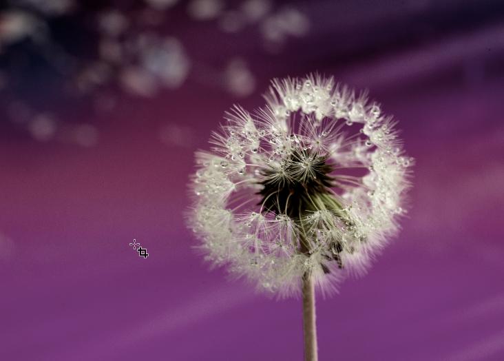 ps高级灰油画风景怎么调,ps莫兰迪高级灰最好教程