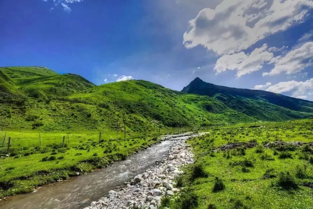 定西附近烧烤露营地推荐,新疆自驾游定西露营地