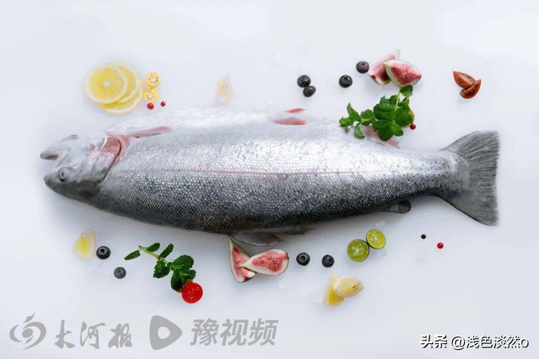 能不能生吃？河南能买到？大河报记者亲探*疆新**深山里的三文鱼渔场