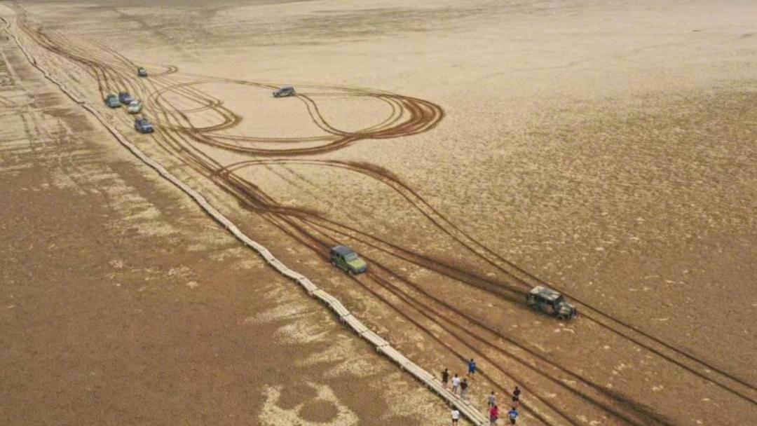 「浙银·早读」天津今早核酸检测|去过这些地方要报备，最新汇总|这些场所暂停运营，多区通告