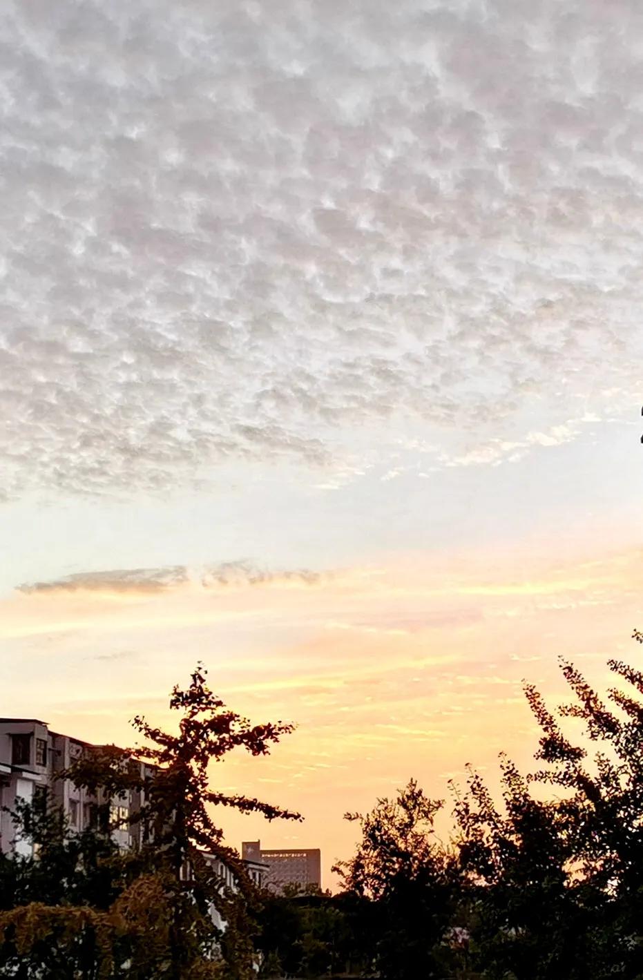 脱口秀幽默笑话搞笑段子爆笑,幽默笑话搞笑段子gif趣图