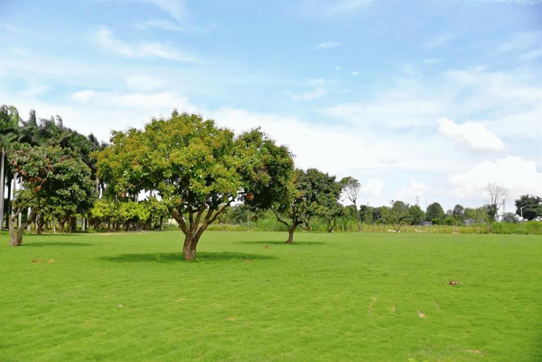珠海东澳岛旅游一日游攻略路线,广州出发海陵岛旅游攻略两天一夜