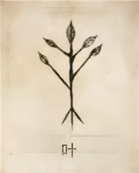 姓氏图腾你的姓氏长什么样,你的姓氏长啥样