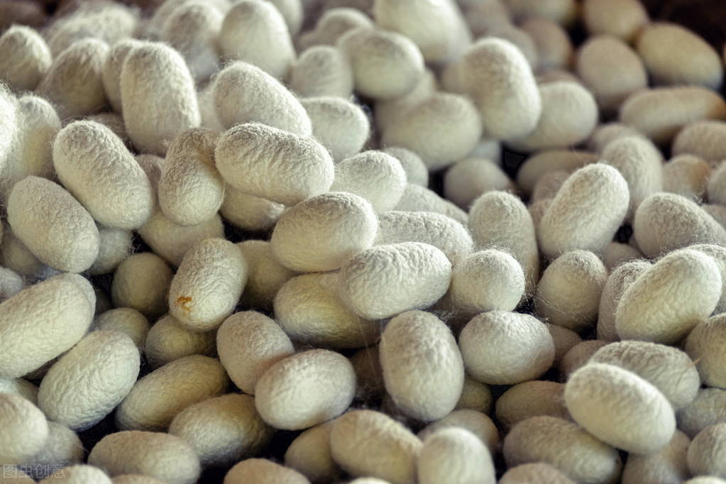 可水洗蚕丝被为什么能水洗,蚕丝被可以水洗吗怎样能水洗