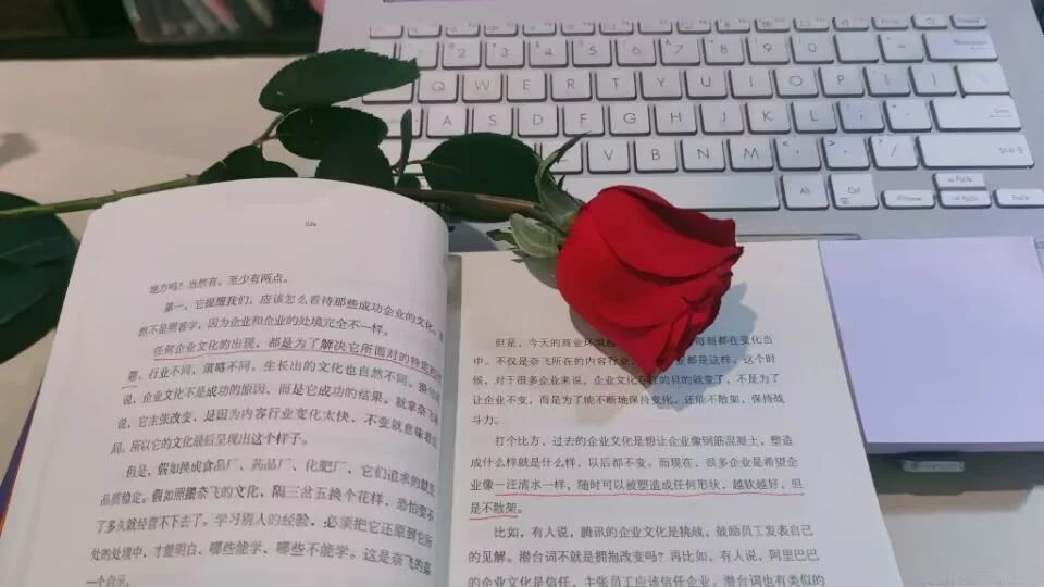 头条发布文章排版注意些什么,如何在手机头条文章写好之后排版