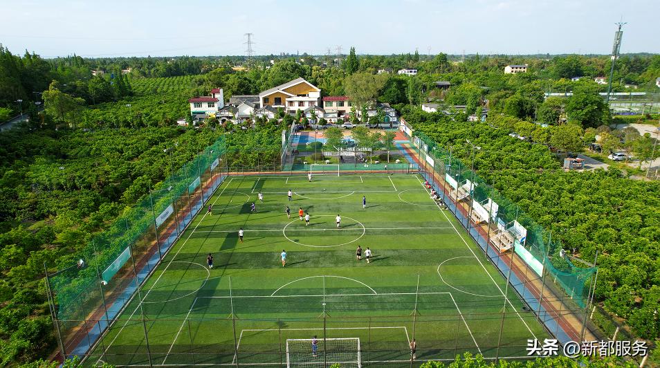 新都百年巨变,新都变化视频