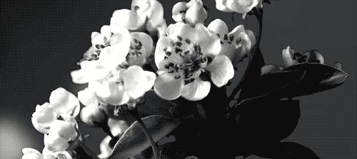 句句戳中肺腑的文案,总有一句文案戳中你的心