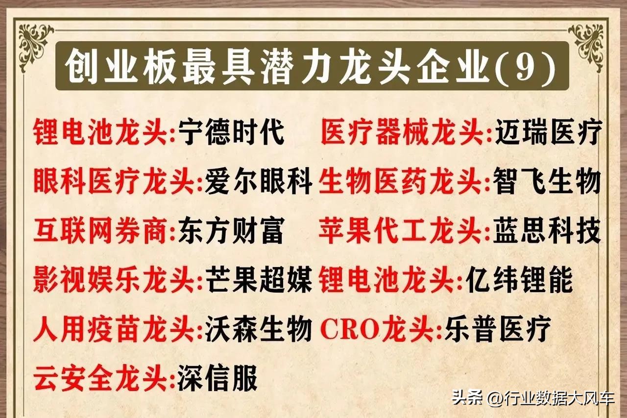 创业板龙头股票有哪些,今天创业板的十大龙头股