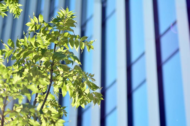 上海金茂20亿元永续债,中国金茂永续债