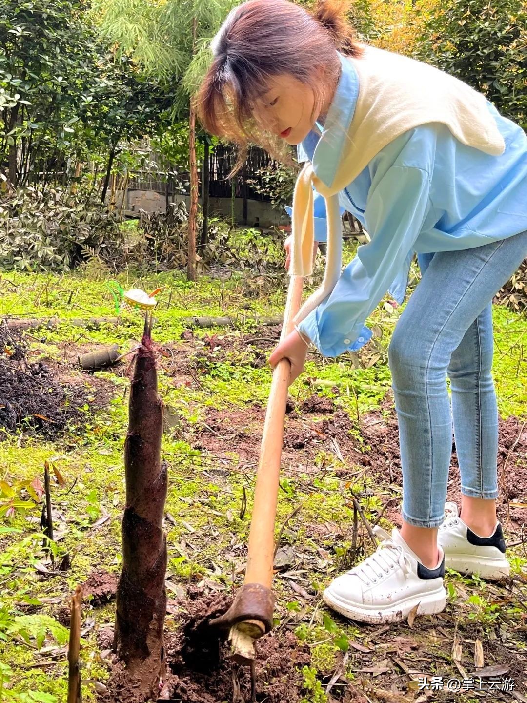 绿野春花,绵阳安州看花免费推荐