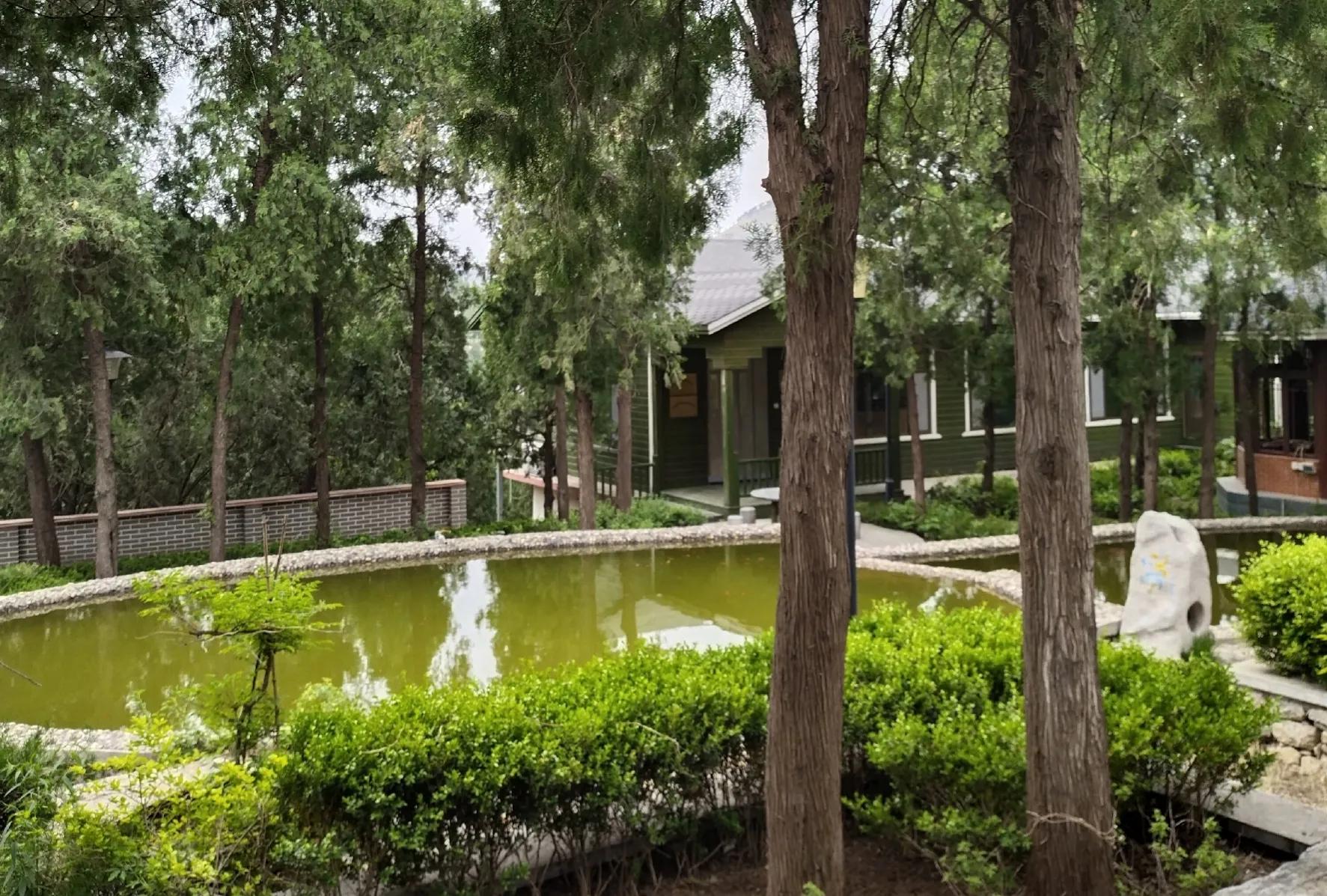 淄博有个*新宇毛**将军题字的小景区，你逛过吗？