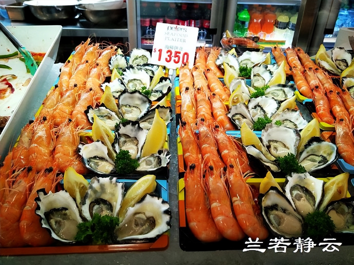 悉尼最大的海鲜鱼市场在哪里,海鲜市场澳洲龙虾
