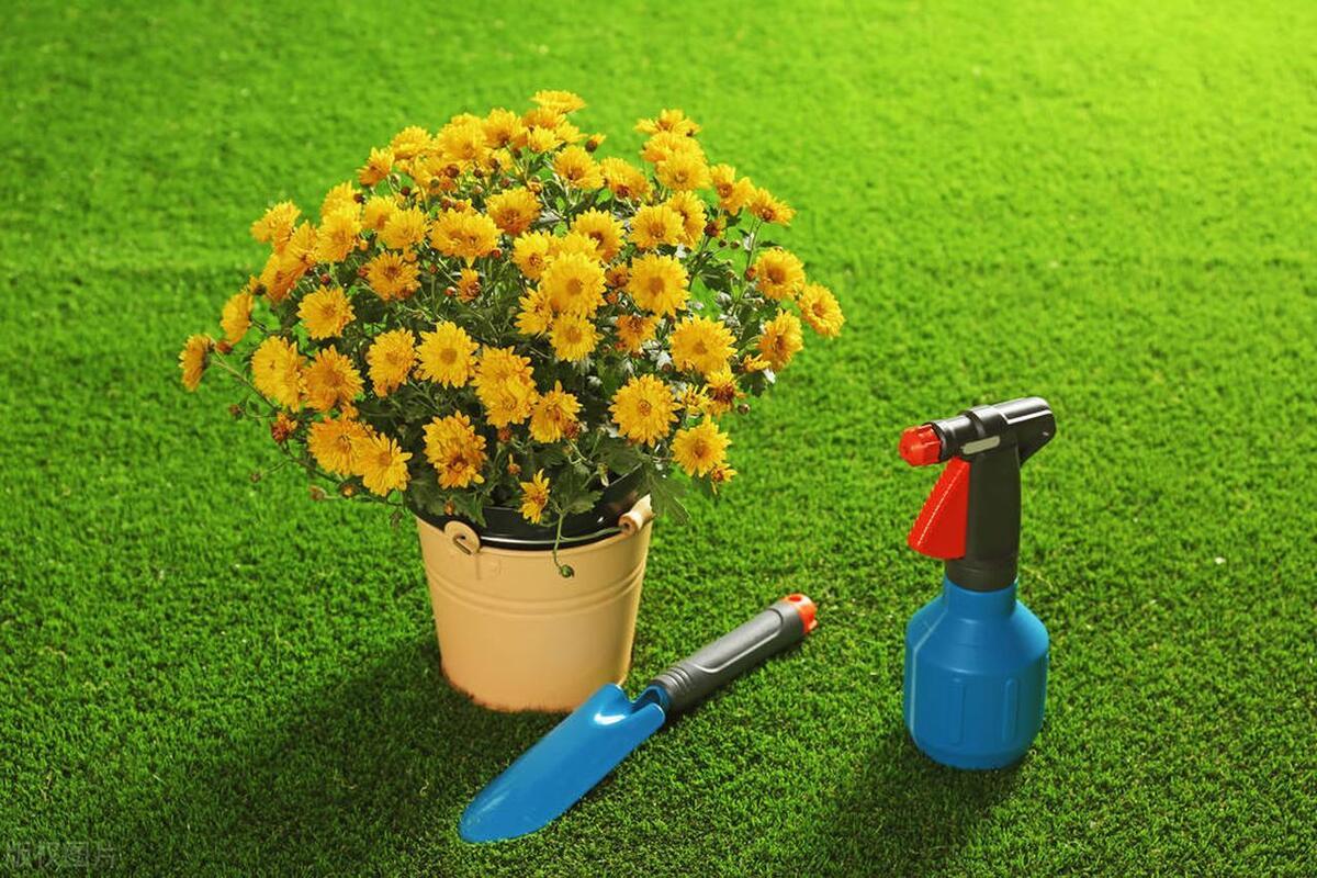 仿真草皮降温效果好吗,楼顶仿真草坪能降几度温度