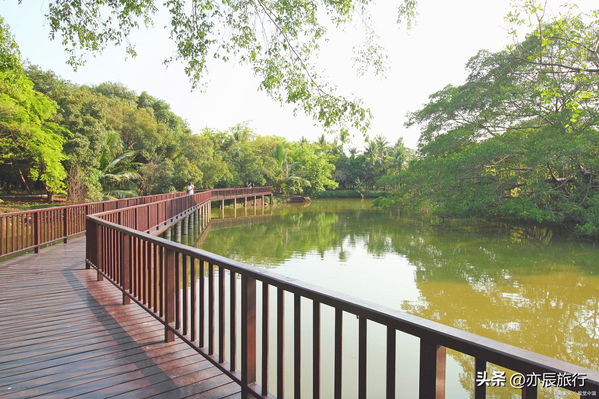 佛山秋天禅城必游景点,佛山11月游玩攻略自由行
