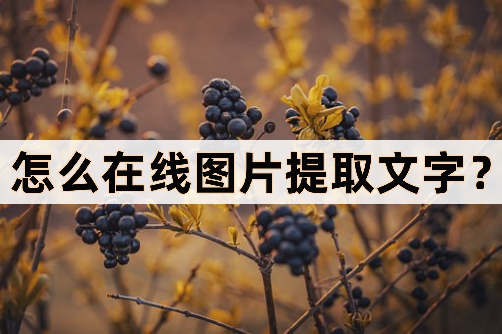 怎样识别图片上的文字并提取出来,图片提取文字识别软件pc版