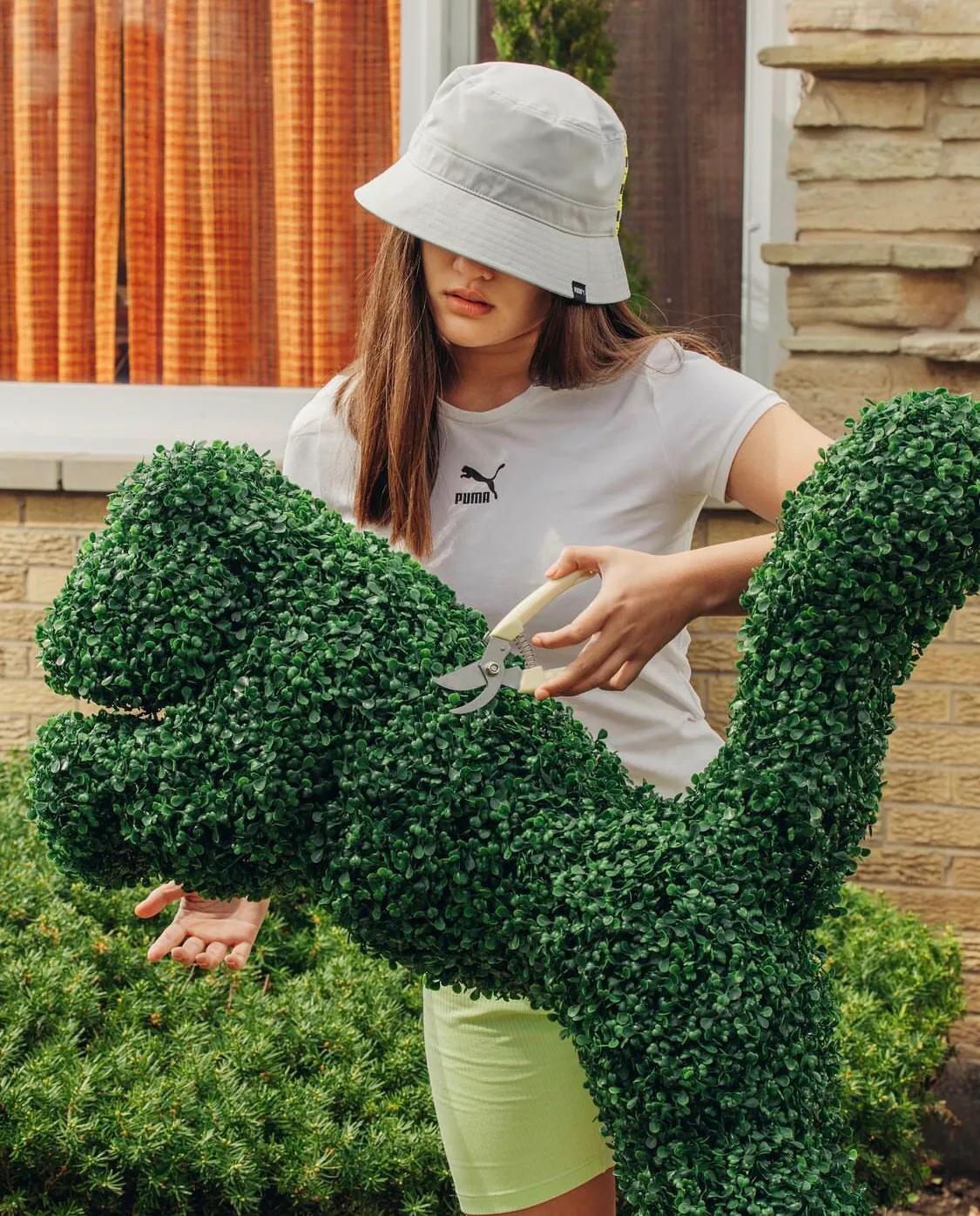 全球运动品牌排行榜前十名,运动潮流服装推荐