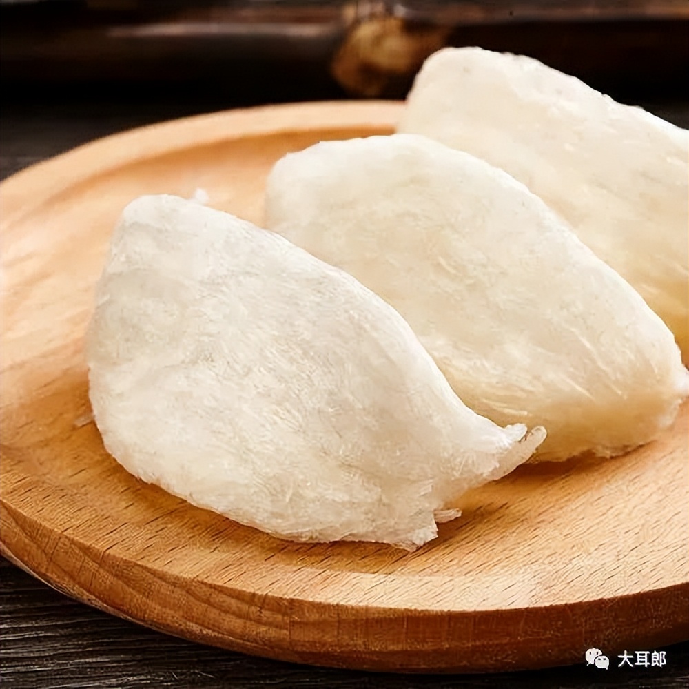 寻找燕窝,燕窝在哪里找的